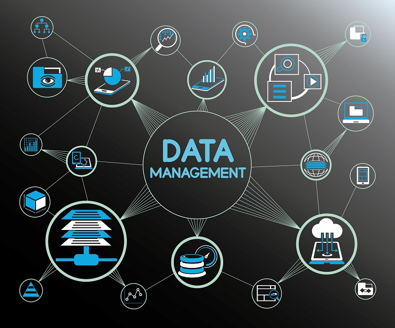 Bangalore Companies Database.