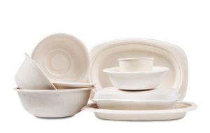 bagasse products