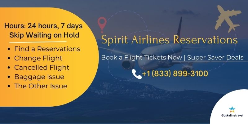 Spirit Airlines Reservations