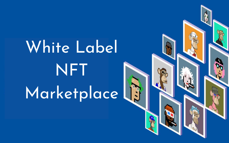 White Label NFT Marketplace