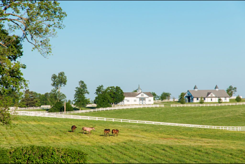 Benefits of investing in farms and ranches