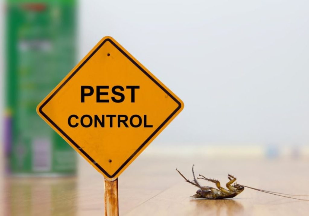 Management of Pest Control